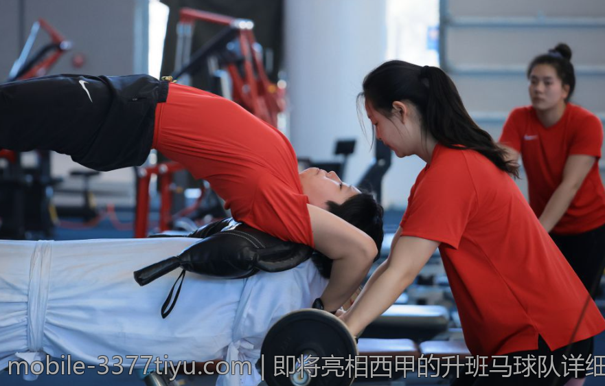 即将亮相西甲的升班马球队详细解析