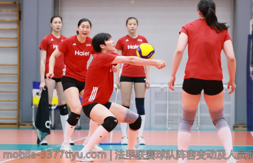 法甲联赛球队阵容变动及人员调整