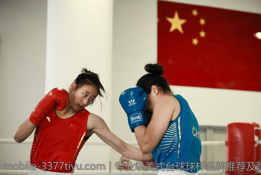 专业级美式台球球杆品牌推荐及购买指南
